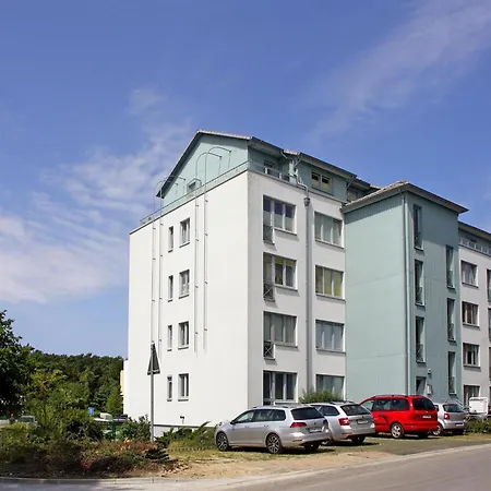 Strandlaeufer In