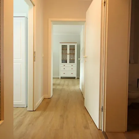 Strandlaeufer In